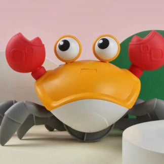 Outdoor Crab Toy